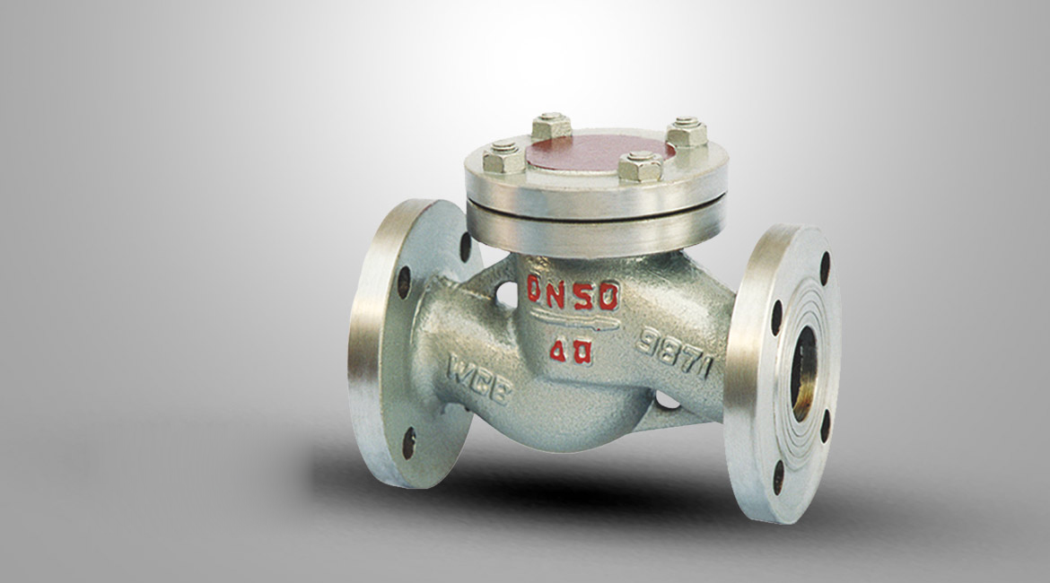 液化气止回阀阀