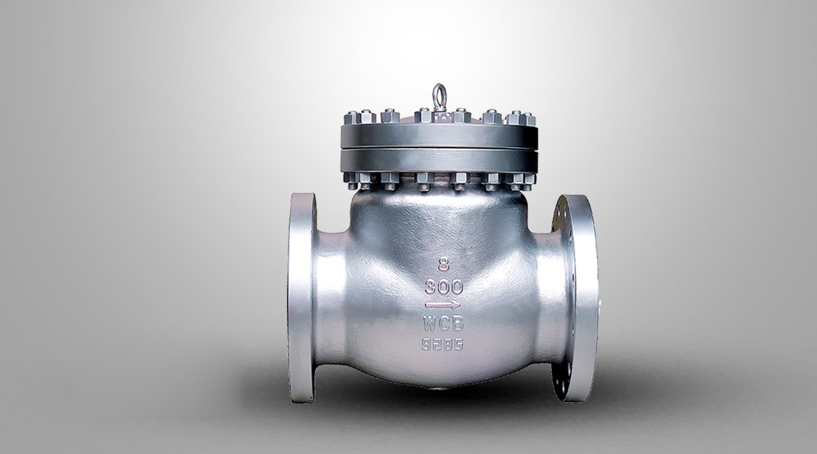 美标旋启式止回阀