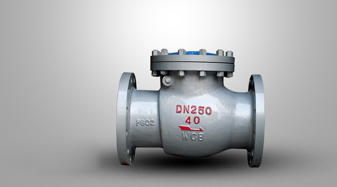 国标旋启式止回阀